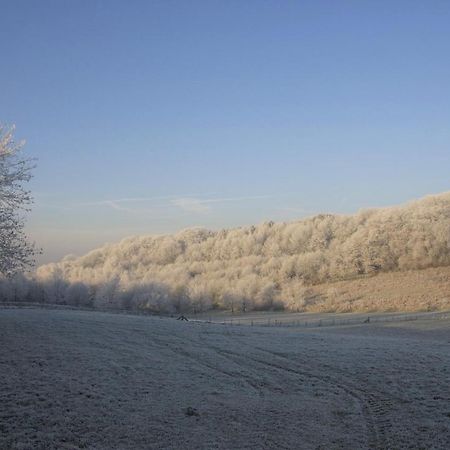 Stacaravan In De Natuur Bij Maastricht Villa Ulestraten Buitenkant foto