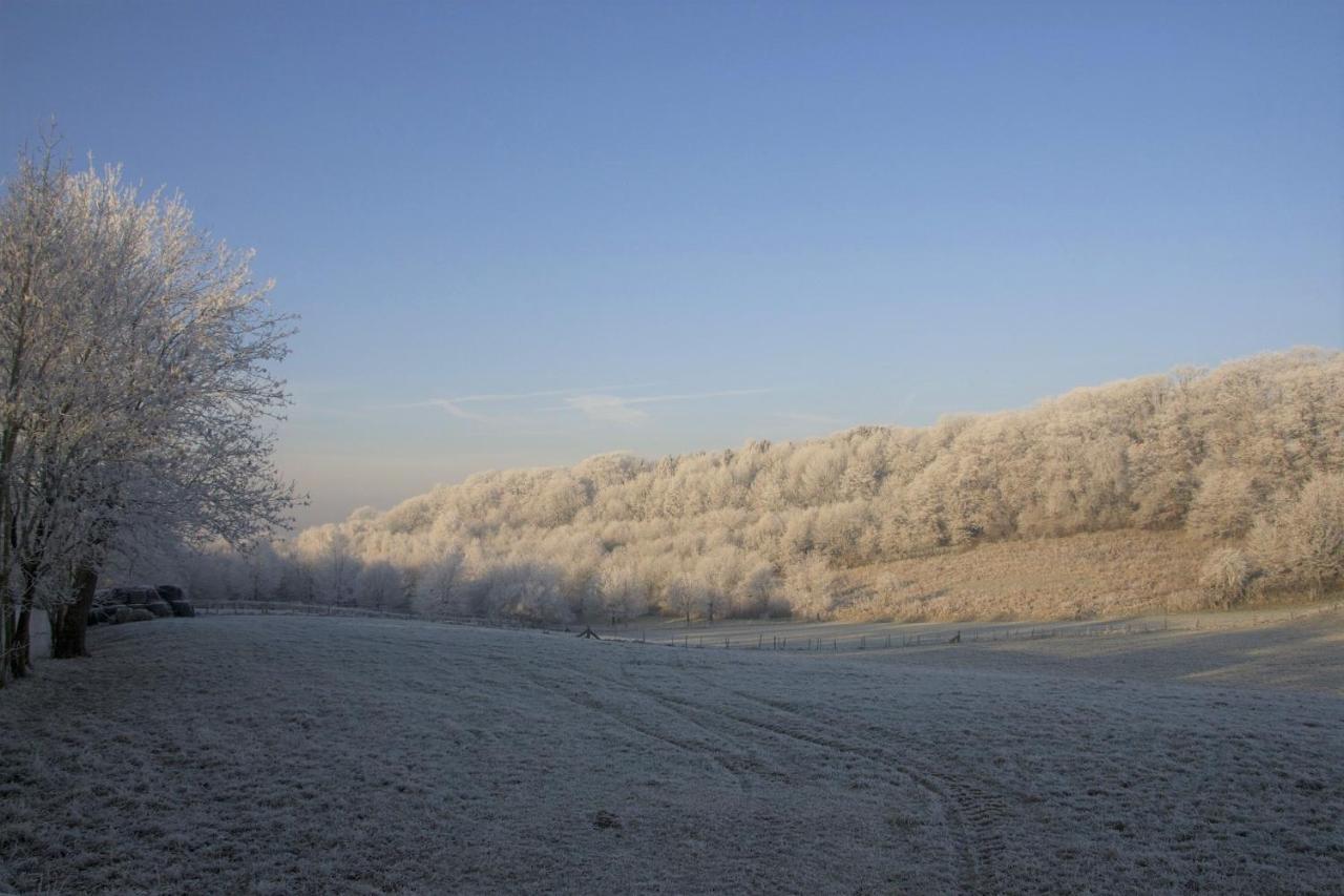 Stacaravan In De Natuur Bij Maastricht Villa Ulestraten Buitenkant foto